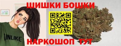 крисы Шебекино