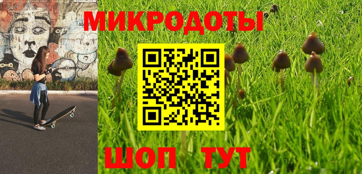 Ишимбай  Галлюциногенные грибы Psilocybine cubensis  Вход с VPN 